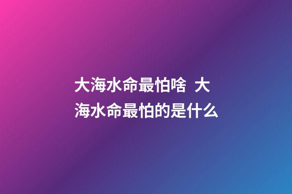 大海水命最怕啥  大海水命最怕的是什么